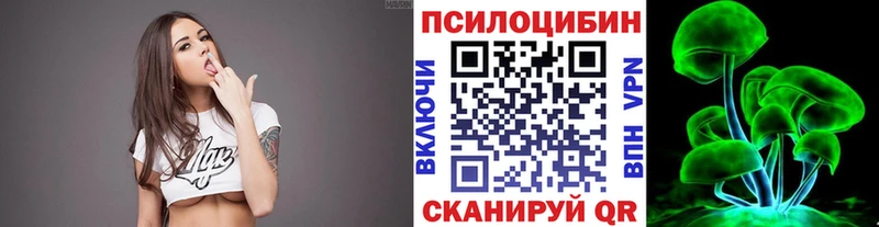 ОМГ ОМГ онион  Закаменск  Псилоцибиновые грибы Cubensis 